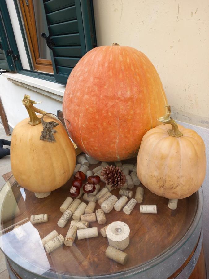 In Vino Veritas Sulmona Buitenkant foto